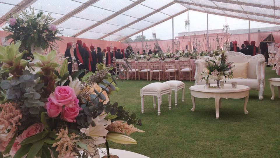 party rental 